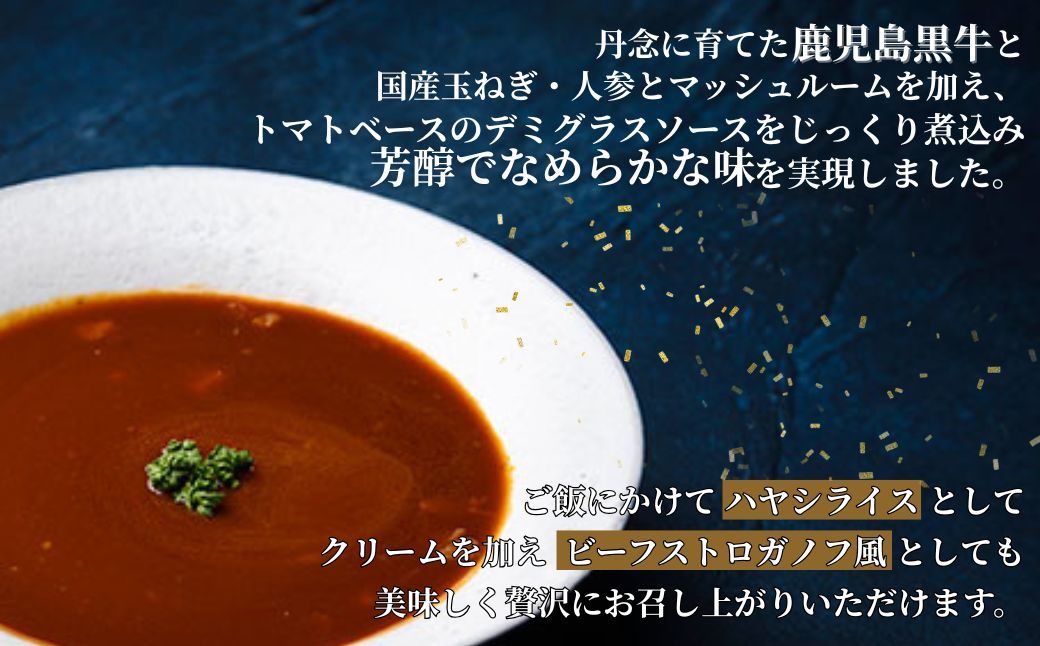 鹿児島黒牛ビーフシチュー　10パックセット