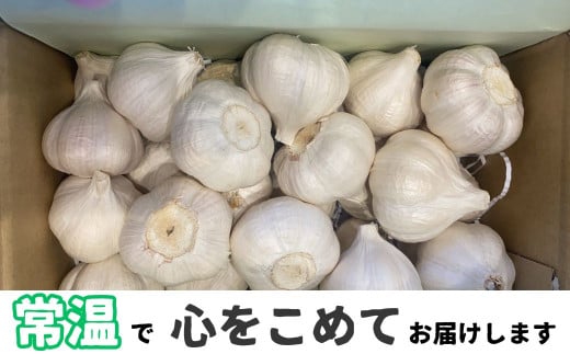農家直送 鹿児島県産 にんにく(計1kg)