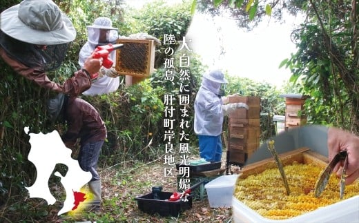 日本ミツバチ 生百花 蜂蜜(約350g)