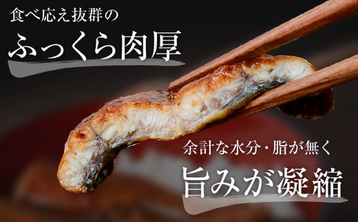 うなぎ蒲焼・大(有頭)(3尾・計480g以上、タレ、山椒付)