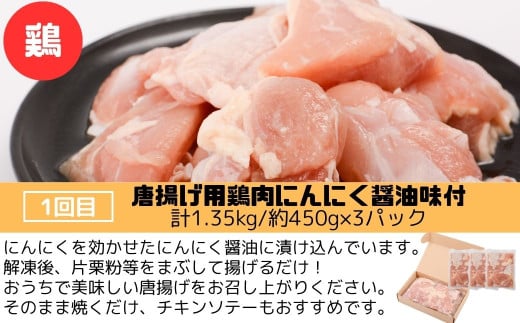 ＜定期便・全3回＞肝付町セレクト定期便《肉だらけお試し定期便》