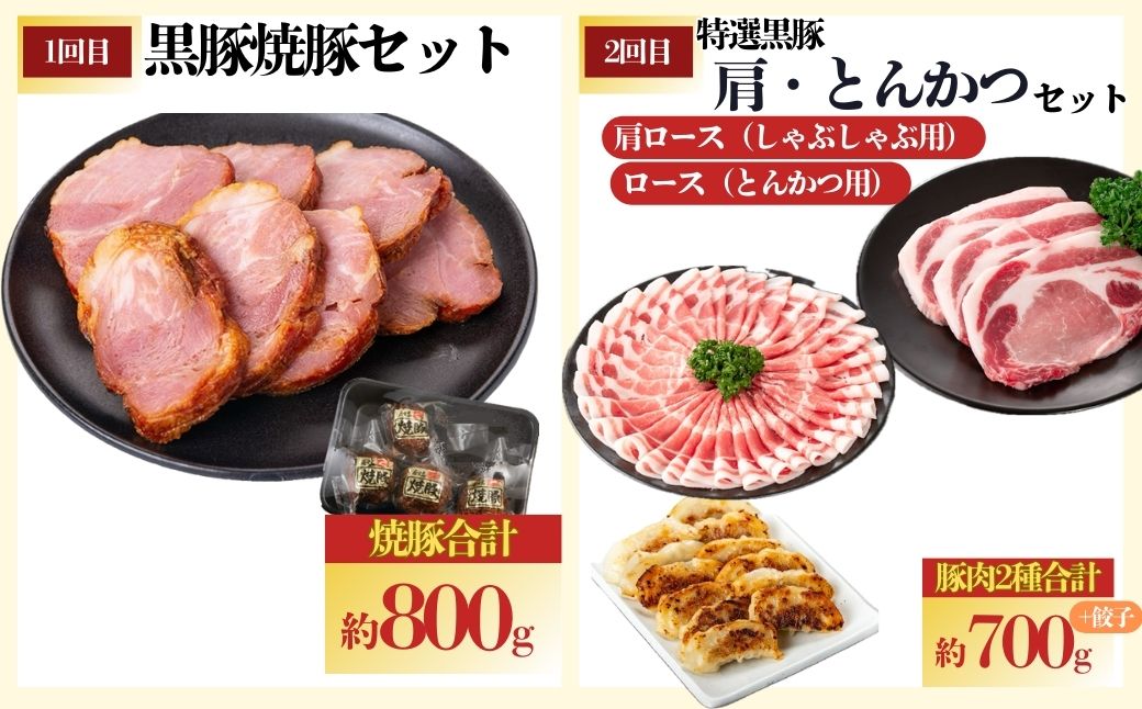 ＜定期便・全5回＞かごしま黒豚ふるさと定期便 ファミリーセットB(月1回×5ヶ月)