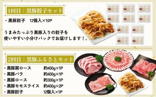 ＜定期便・全5回＞かごしま黒豚まんぞく定期便A (月1回×5ヶ月)