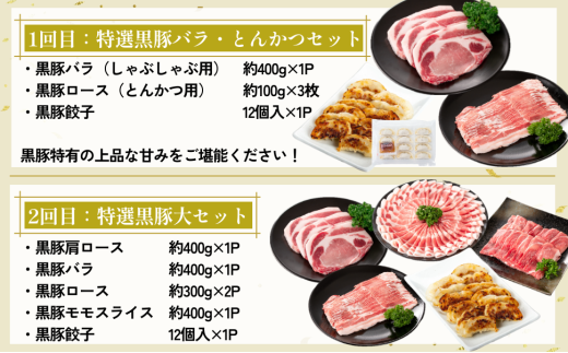 ＜定期便・全5回＞かごしま黒豚まんぞく定期便B (月1回×5ヶ月)