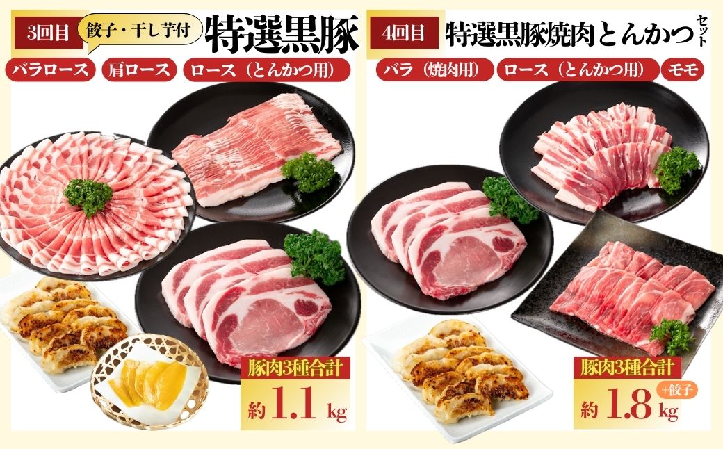 ＜定期便・全5回(毎月)＞バラエティーセットA！