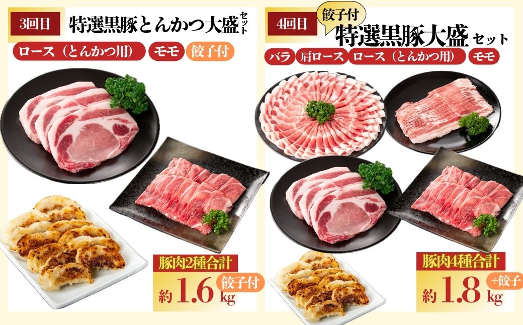 ＜定期便・全5回(毎月)＞バラエティーセットB！