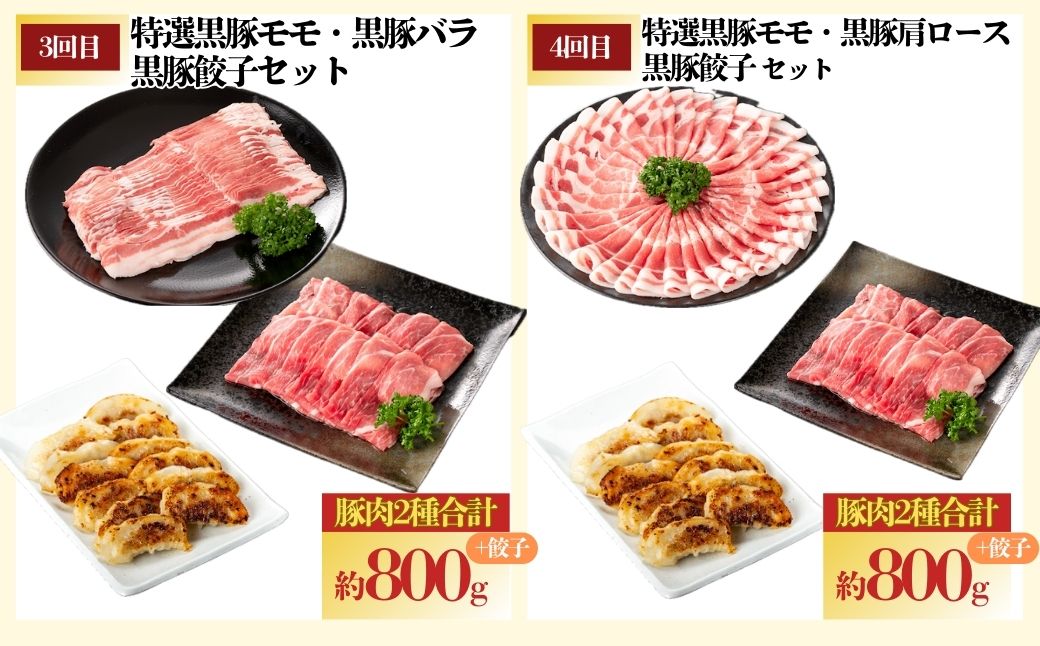 ＜定期便・全10回＞かごしま黒豚ふるさと定期便 ファミリーセットD(月1回×10ヶ月)