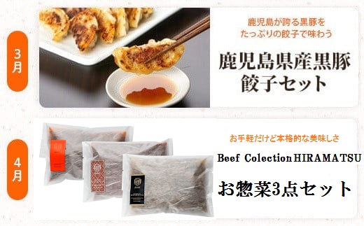 肝付町セレクト定期便《ふるさと旬の味覚Ａセット》【月指定・全12回】