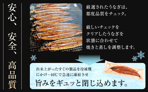 ＜定期便・計3回(連続)＞うなぎ蒲焼・大(有頭)(2尾・計330g以上×3回、タレ、山椒付)
