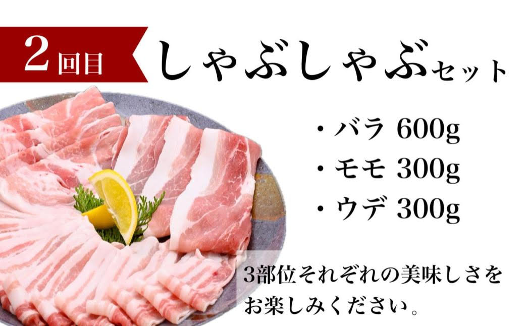 ＜定期便・全6回＞肝付町鰻と肉を楽しむ定期便