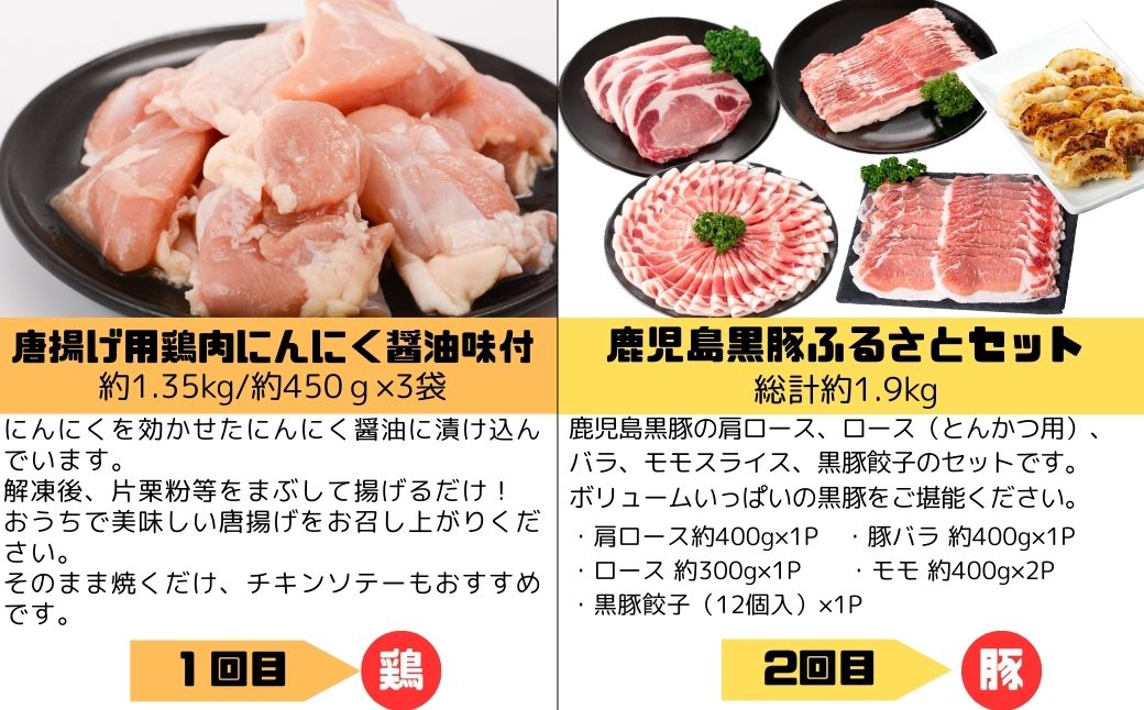  ＜定期便・全5回＞肝付町セレクト定期便《肉だらけ定期便B》