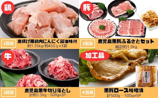 ＜定期便・全10回＞肝付町セレクト定期便《肉だらけ定期便C》