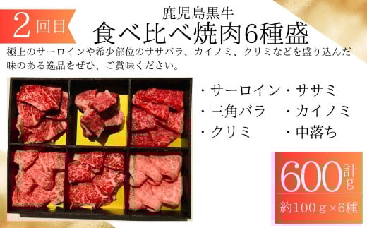  ＜定期便・全6回＞肝付町セレクト定期便《鰻と牛肉を楽しむ定期便》