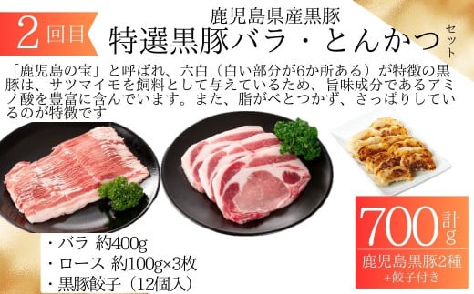 ＜定期便・全6回＞肝付町セレクト定期便《鰻と豚肉を楽しむ定期便》