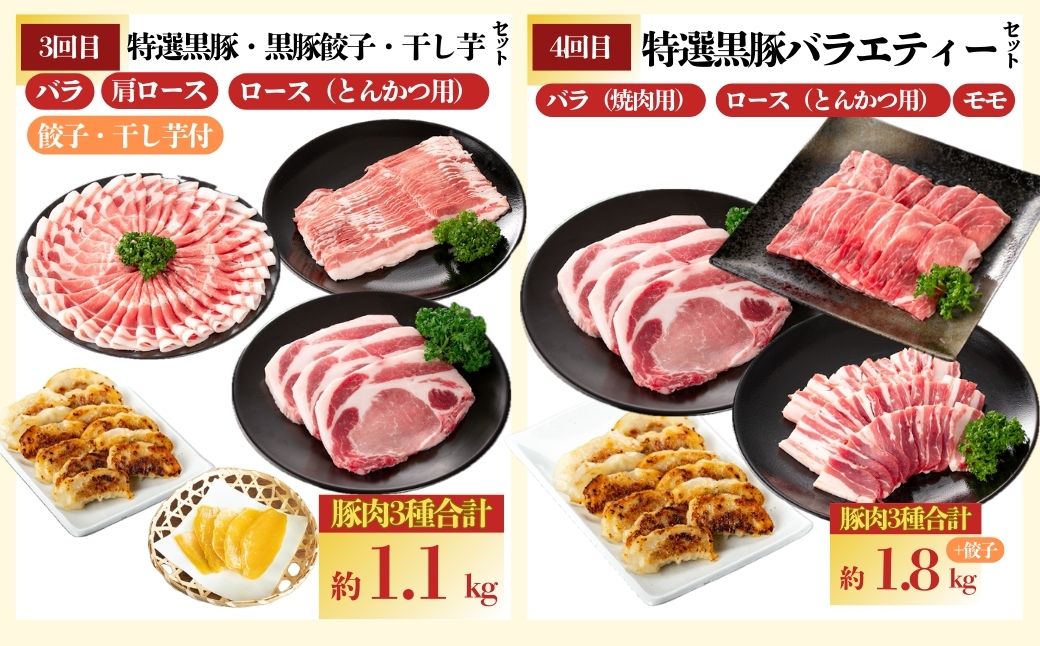 ＜定期便・全10回(毎月)＞かごしま黒豚ふるさと定期便 バラエティーセットC(月1回×10カ月)