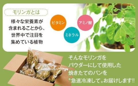 大隅産モリンガパンハーフセット