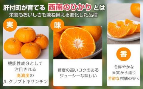 肝付町産西南のひかり＜先行受付＞