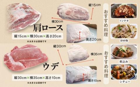 鹿児島県産豚1頭ブロックセット(6箱一括送付）