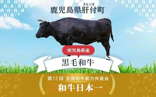  ＜A4～5等級＞鹿児島県産黒毛和牛サーロインステーキ(計約400g・約200g×2枚)