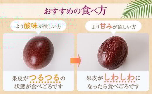 【数量限定】前村さんちのパッションフルーツ