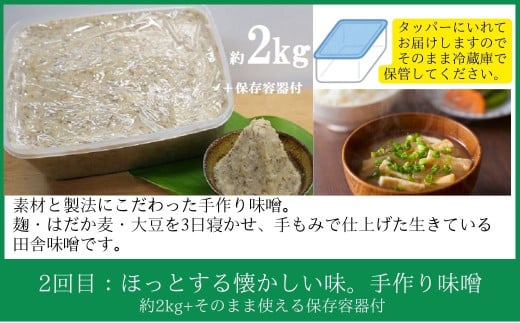  ＜定期便・全3回＞肝付町セレクト定期便《田舎の味を楽しむ定期便》