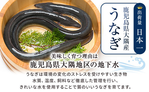 うなぎ蒲焼・大(有頭)(5尾・計800g以上、タレ、山椒付)