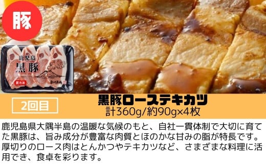 ＜定期便・全3回＞肝付町セレクト定期便《肉だらけお試し定期便》