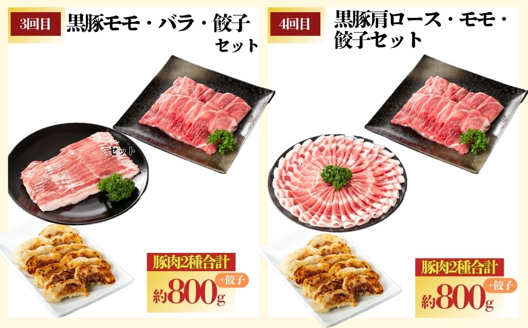 ＜定期便・全5回＞かごしま黒豚ふるさと定期便 ファミリーセットB(月1回×5ヶ月)