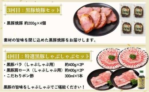 ＜定期便・全5回＞かごしま黒豚まんぞく定期便A (月1回×5ヶ月)