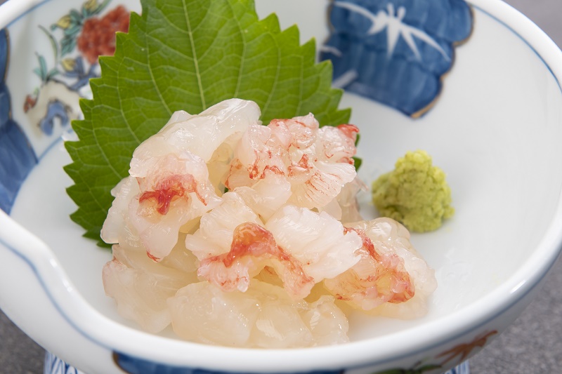 [活き〆冷凍]肝付町内之浦産伊勢海老(えっがね)の刺身<超特大サイズ>