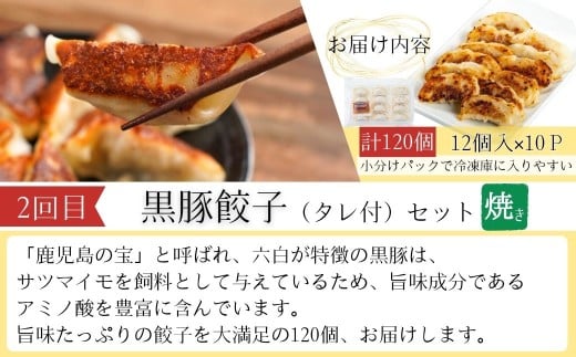 ＜定期便・全3回＞肝付町セレクト定期便《簡単調理で肉を楽しむ定期便》