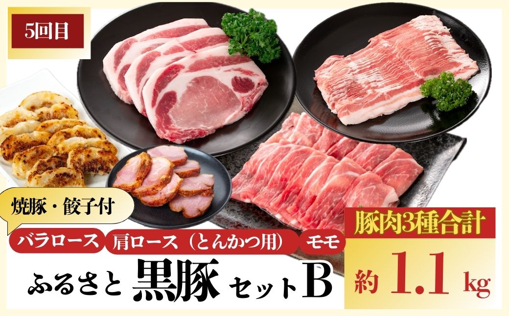 ＜定期便・全5回(毎月)＞バラエティーセットA！