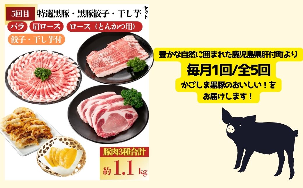 ＜定期便・全5回(毎月)＞バラエティーセットB！