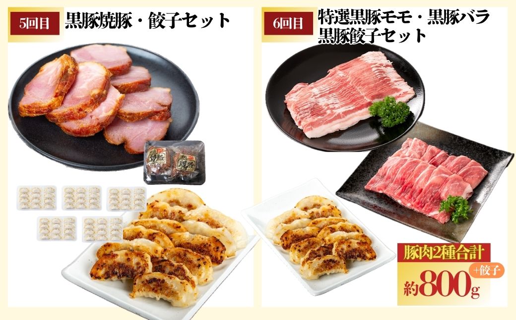 ＜定期便・全10回＞かごしま黒豚ふるさと定期便 ファミリーセットD(月1回×10ヶ月)