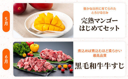 肝付町セレクト定期便《ふるさと旬の味覚Ａセット》【月指定・全12回】