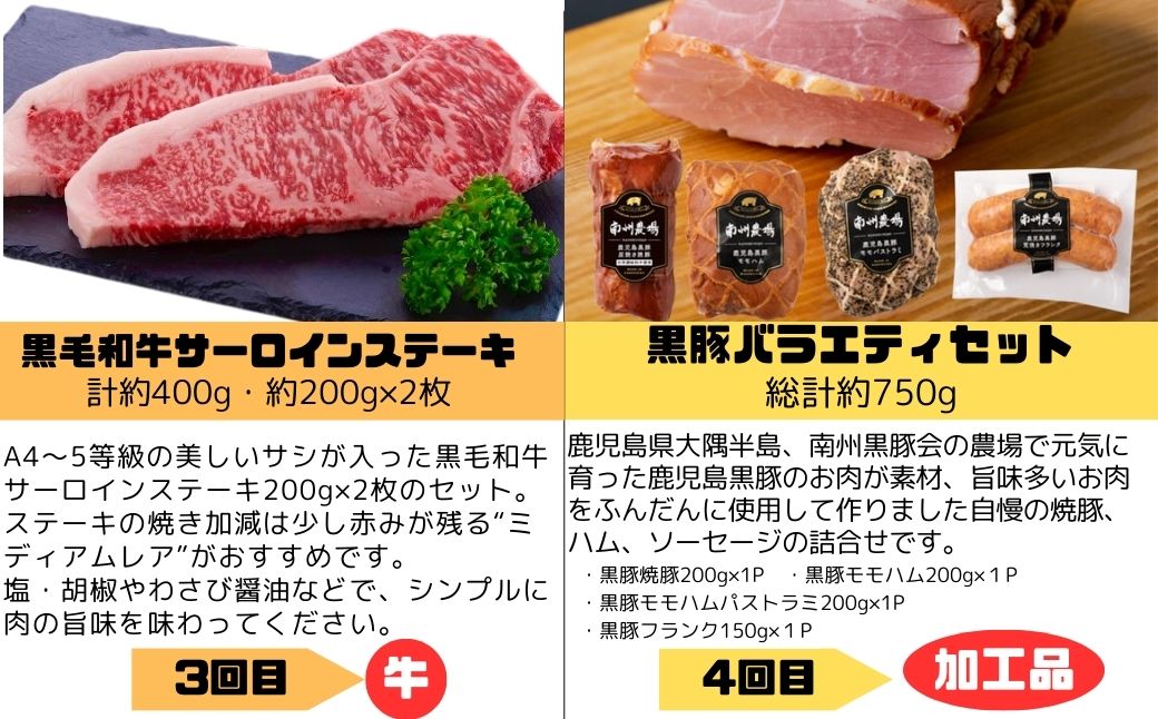  ＜定期便・全5回＞肝付町セレクト定期便《肉だらけ定期便B》