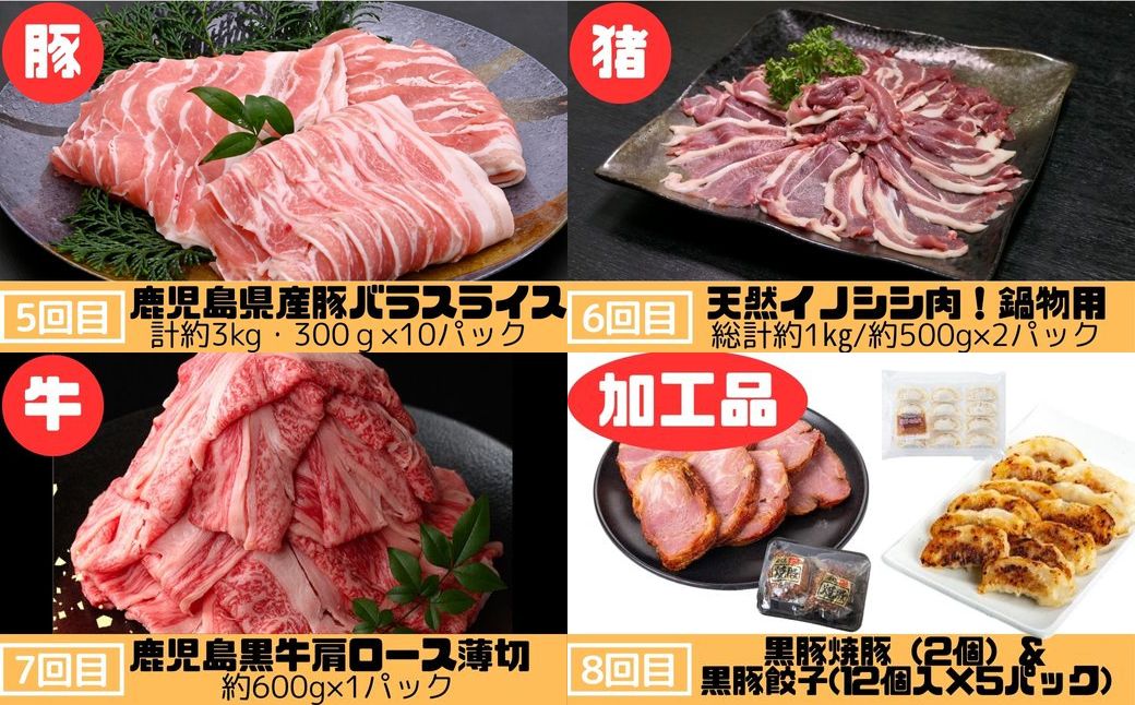 ＜定期便・全10回＞肝付町セレクト定期便《肉だらけ定期便C》