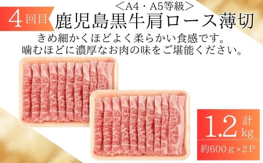  ＜定期便・全6回＞肝付町セレクト定期便《鰻と牛肉を楽しむ定期便》