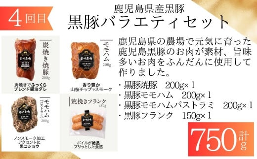 ＜定期便・全6回＞肝付町セレクト定期便《鰻と豚肉を楽しむ定期便》