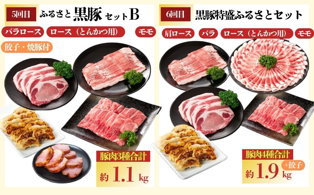 ＜定期便・全10回(毎月)＞かごしま黒豚ふるさと定期便 バラエティーセットC(月1回×10カ月)