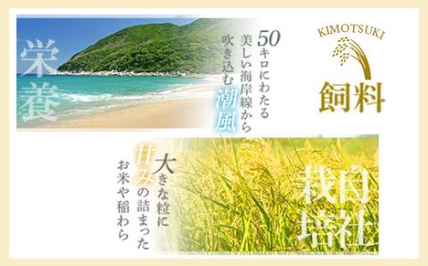 黒毛和牛の牛丼　5個セット