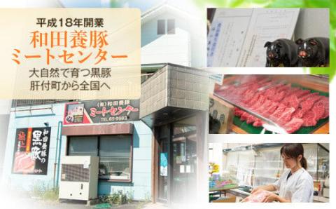 ふるさと2選B （焼豚 約200ｇ×4個、 餃子 12個入×10パック）