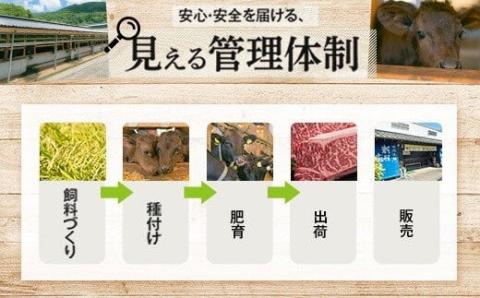 鹿児島黒牛　切り落とし　3kg（500ｇ×6P）