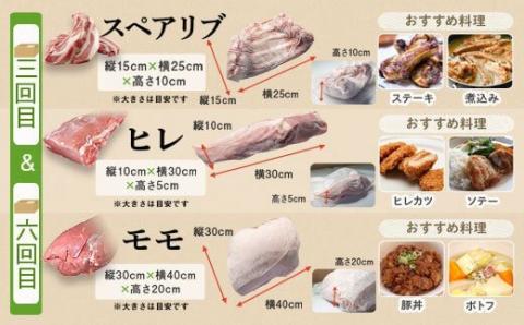 鹿児島県産豚1頭ブロックセット(6回送付定期便）