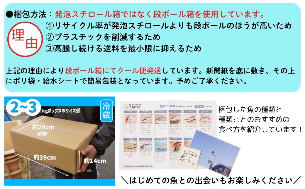  漁師厳選！ロコフィッシュ(地魚) 下処理済 鮮魚 ボックス(約2～3kg)