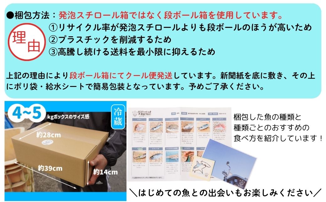  漁師厳選！ロコフィッシュ(地魚) 下処理済 鮮魚 ボックス(約4～5kg)
