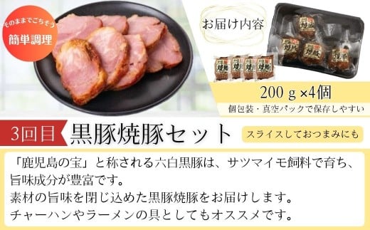 ＜定期便・全3回＞肝付町セレクト定期便《簡単調理 火を使わないで美味しいを楽しむ定期便》