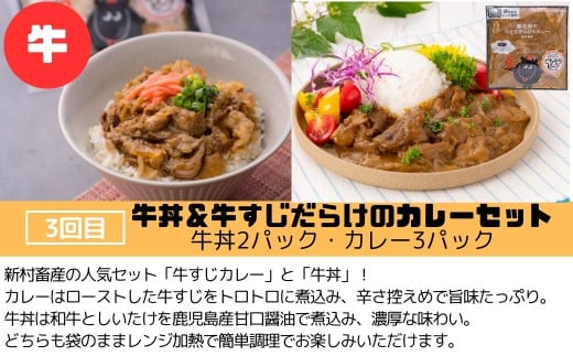＜定期便・全3回＞肝付町セレクト定期便《肉だらけお試し定期便》