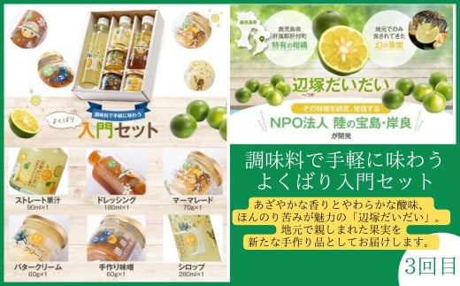 ＜定期便・全3回＞肝付町セレクト定期便《旨味だらけ！調味料定期便》