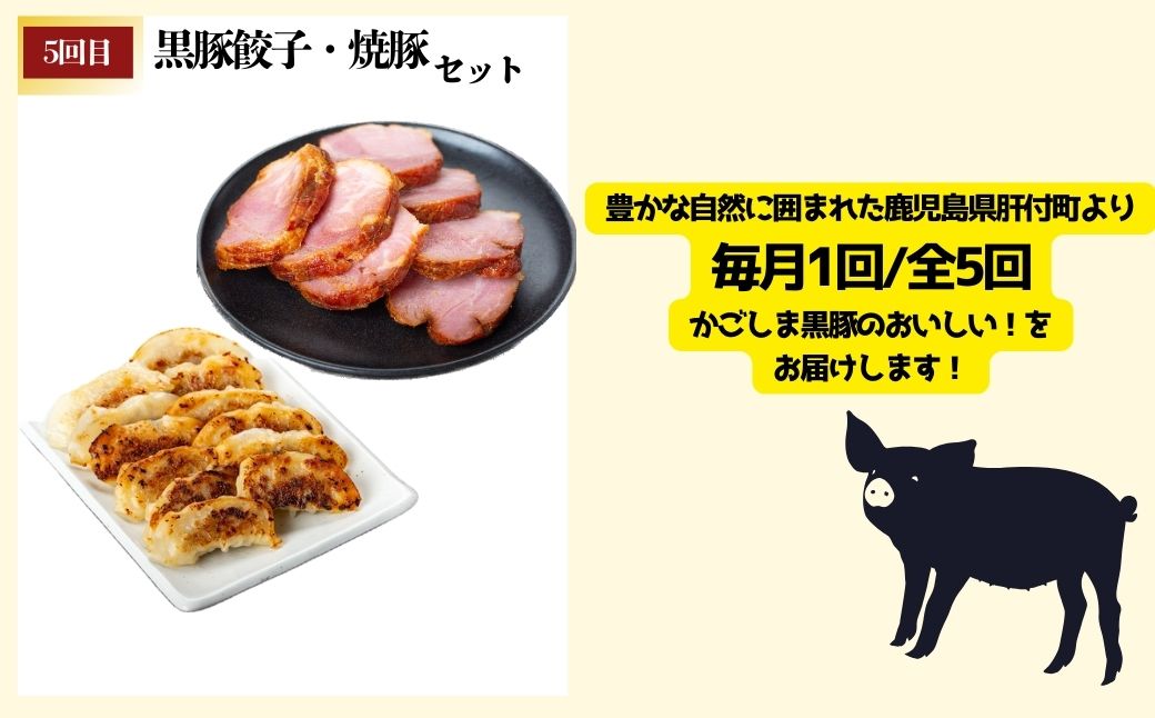 ＜定期便・全5回＞かごしま黒豚ふるさと定期便 ファミリーセットB(月1回×5ヶ月)